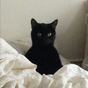 Meet your Posher, Christine